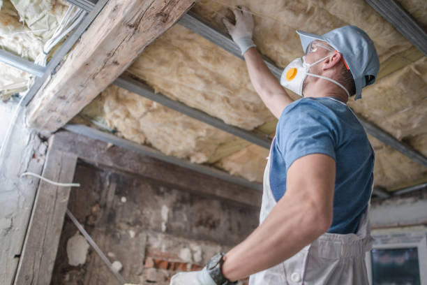 Best Insulation Installation Services in Andrews, IN